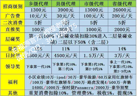 瑞芝公司最新奖金制度深度解析