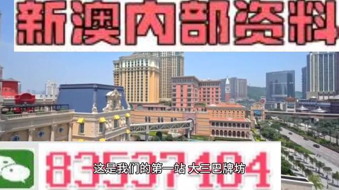 2024新澳门正版精准免费大全,实地考察数据分析_9DM51.610