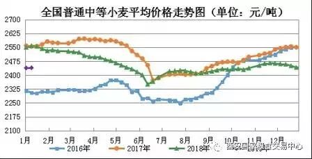 聊城小麦价格今日行情分析