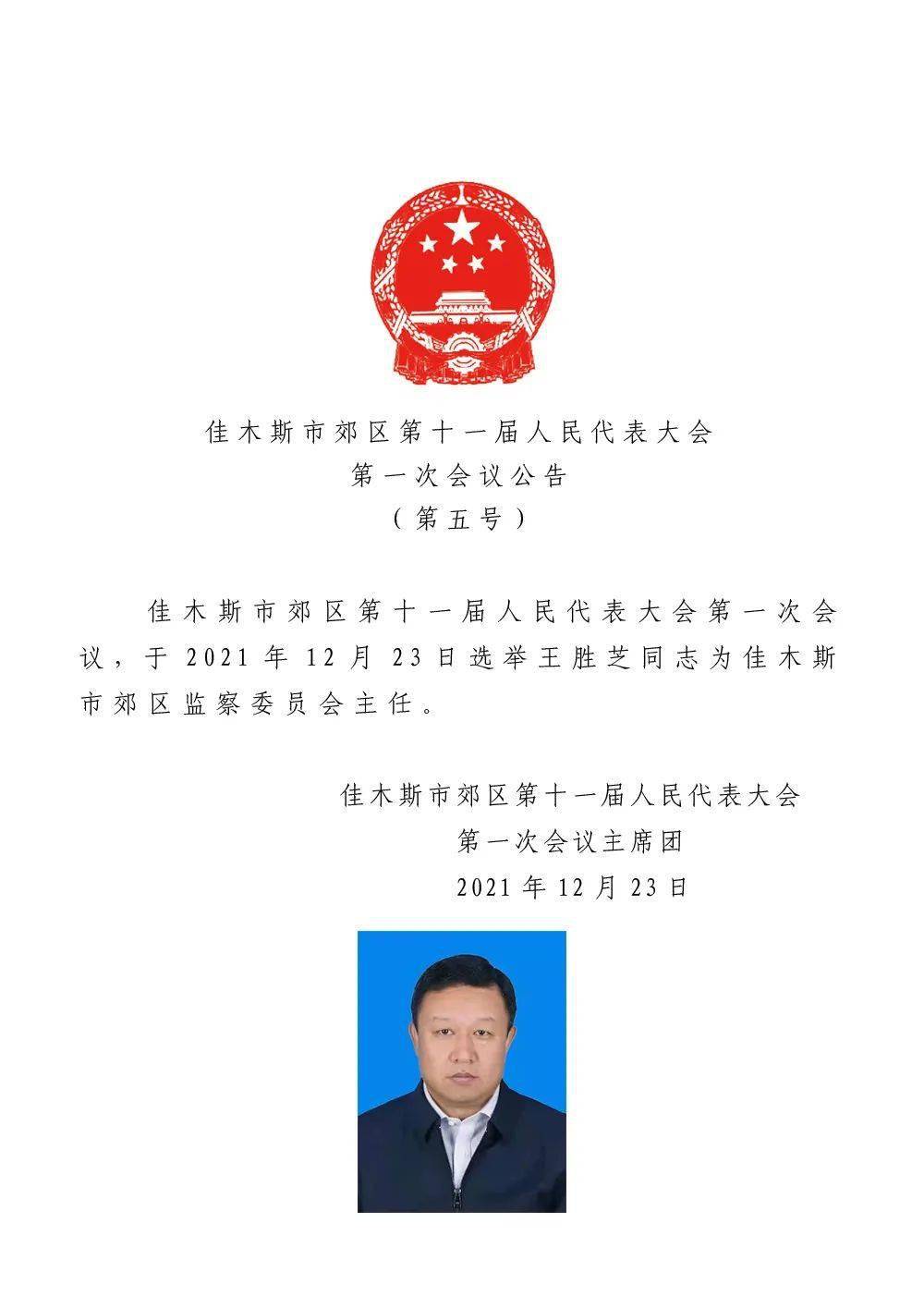 宾县最新人事任免动态概览