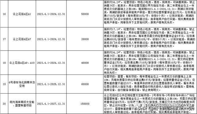 日照最新拍卖公告全面解析