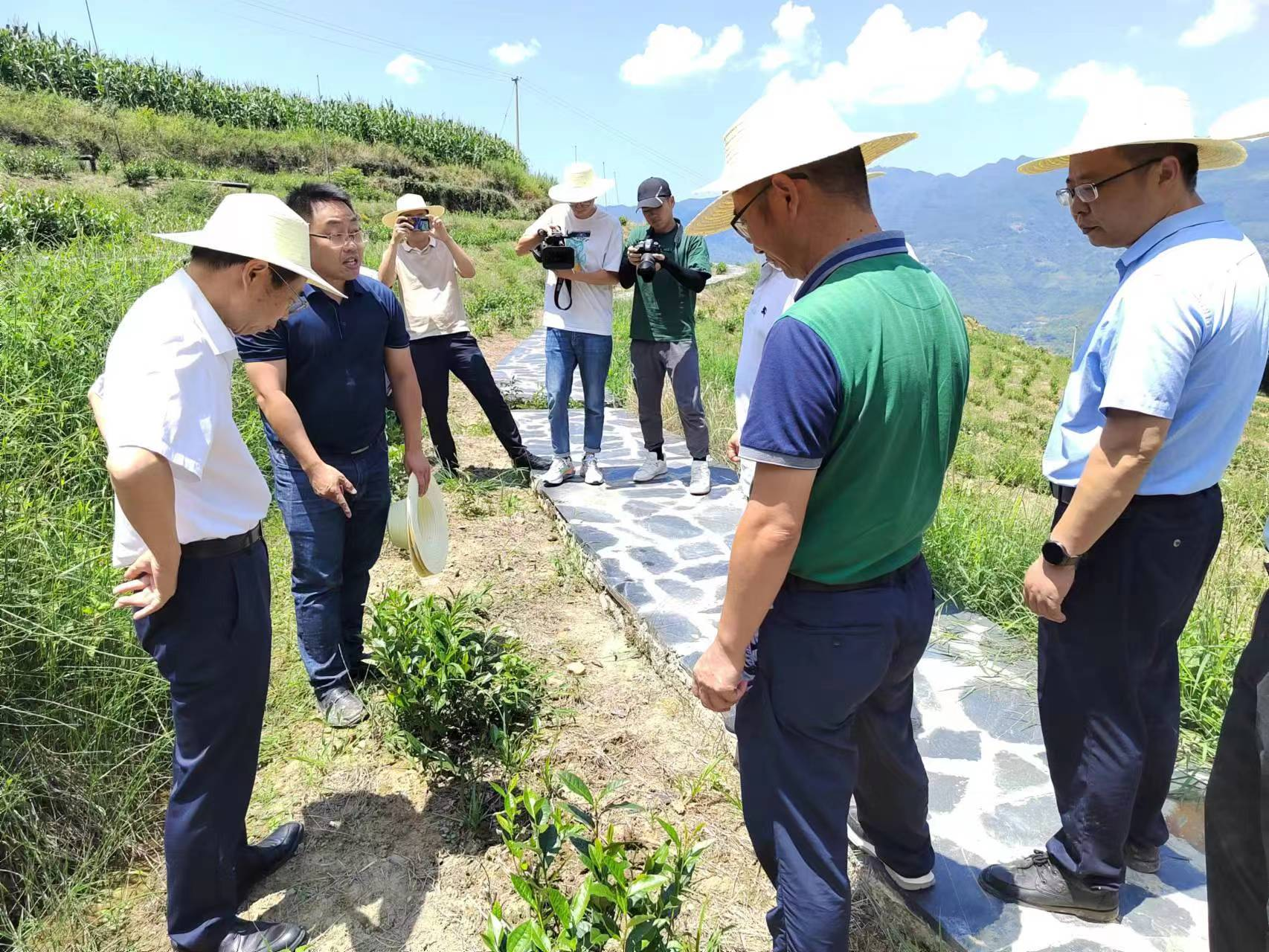 奉节农业农村新通知，推动农业现代化，乡村振兴再添动力