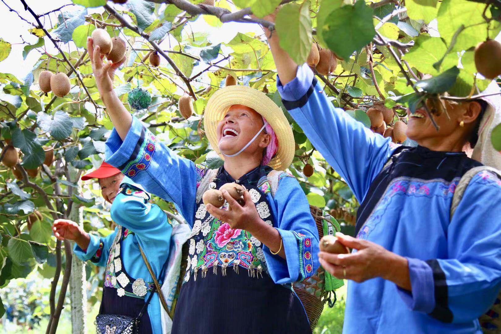 网红招聘最新动态，行业趋势解析与求职策略指南