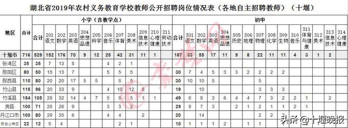 竹山最新招聘信息深度解析与探讨