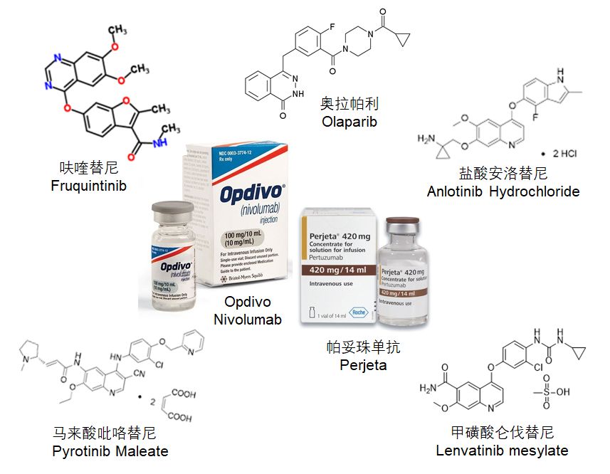 最新抗癌药物的研究进展与应用探索