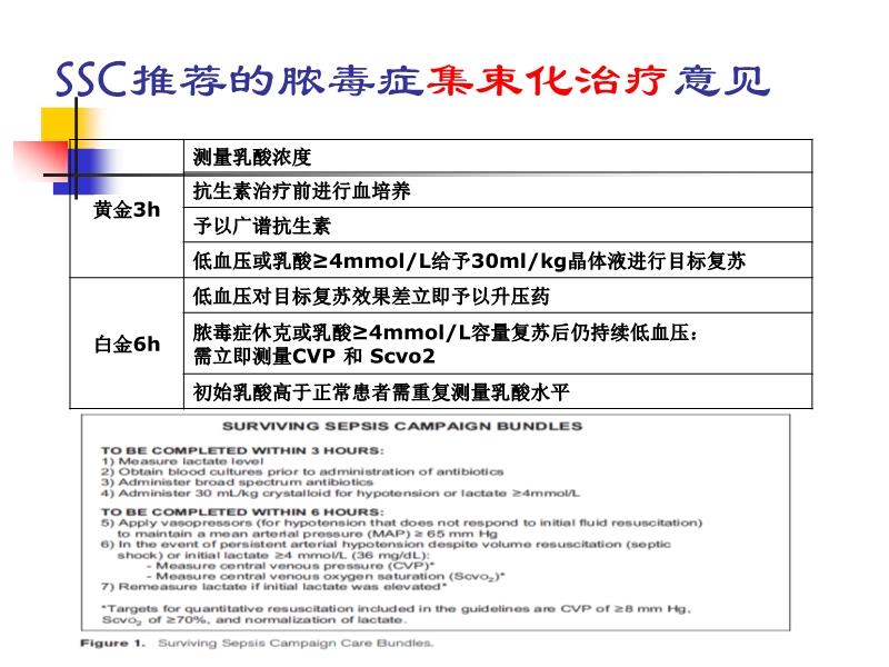 脓毒症最新指南，深入理解与治疗策略详解