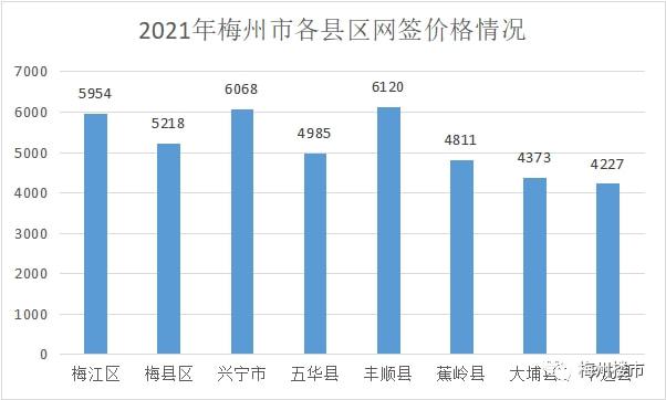 2025年2月3日 第4页