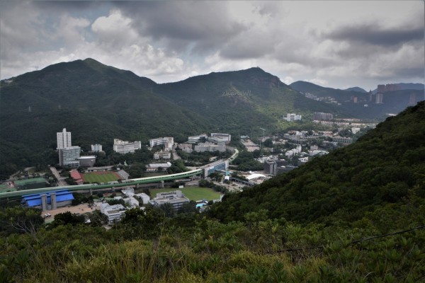 大靠山最新动态，影响力揭秘与未来发展展望