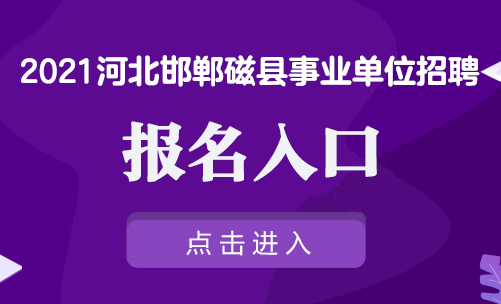 磁县招聘网最新招聘动态深度剖析